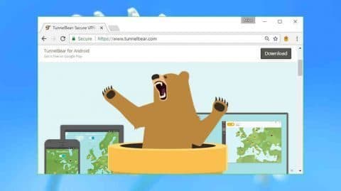 Image result for tunnelbear vpn