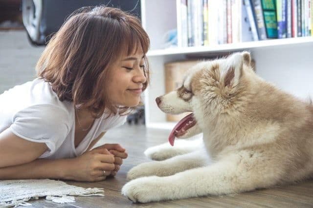 Pros and Cons of Having a Dog In College