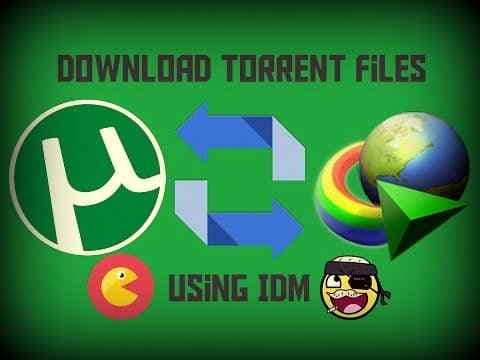 How to download torrent files with IDM