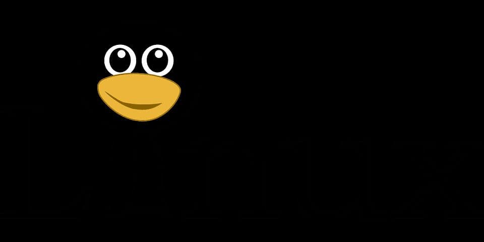 6 Advantages of Hosting on a Linux Server