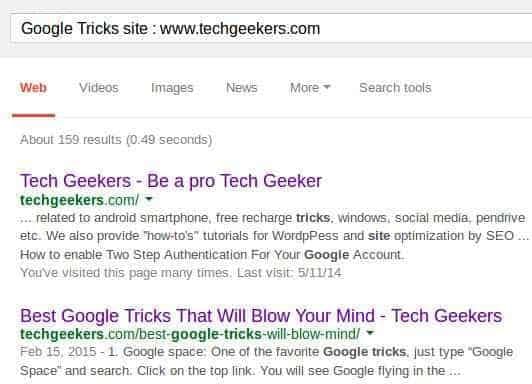 Search Inside a Domain Name