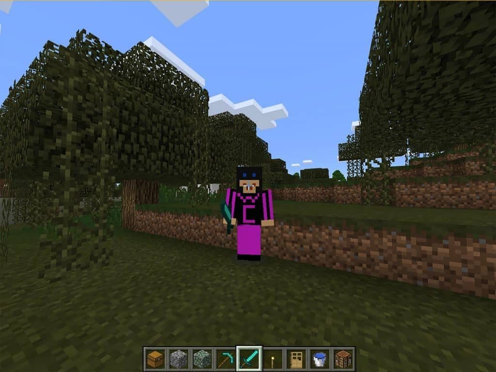 ow to use custom player skins in Minecraft: Windows 10 Edition Beta