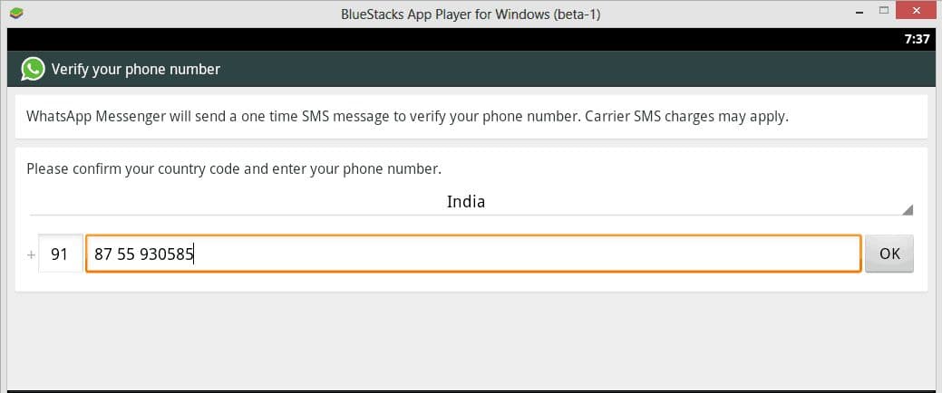 Whatsapp mobile Number