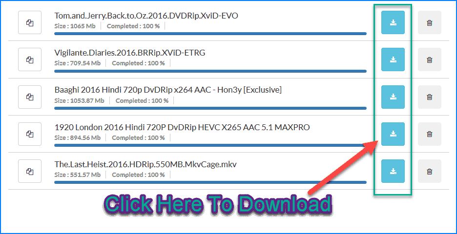 Downloaded file from seeded torrent