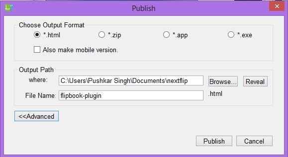 Publishing option in flipbook maker