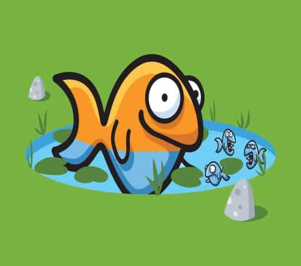 Image result for big fish in a small pond